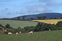 WT 2900 338-37 Ireland